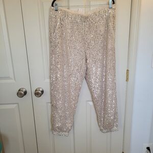 Sequin Embellished Women's Pants